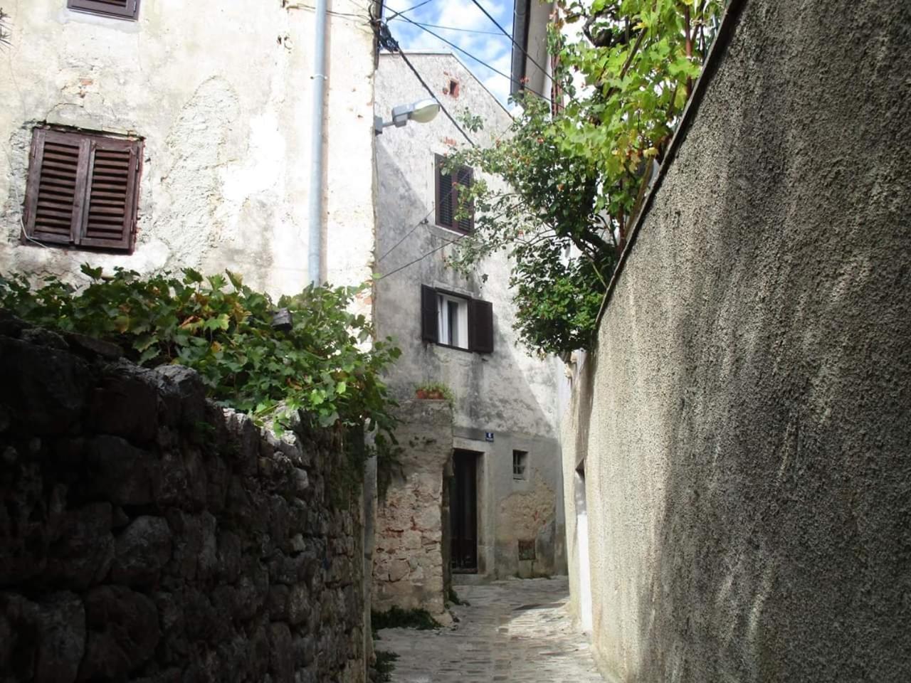 Apartments Vila Ida Vantacici Luaran gambar
